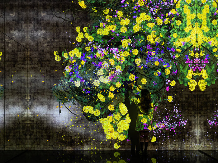 continuous life and death 800x600 pc 67c72