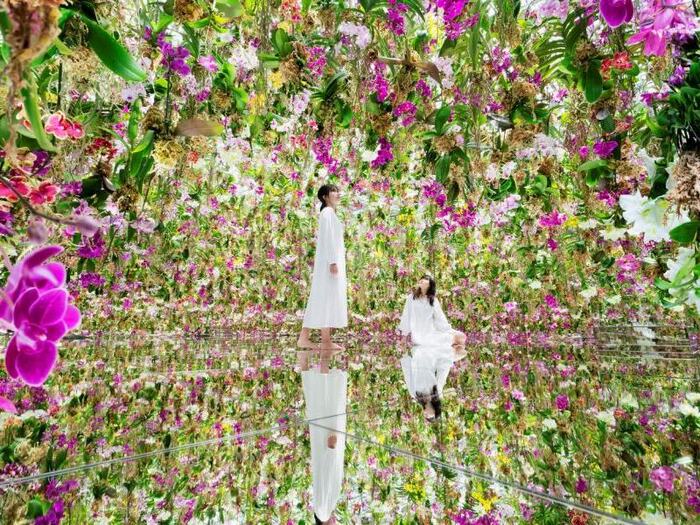 floating flower garden 800x600 e9696